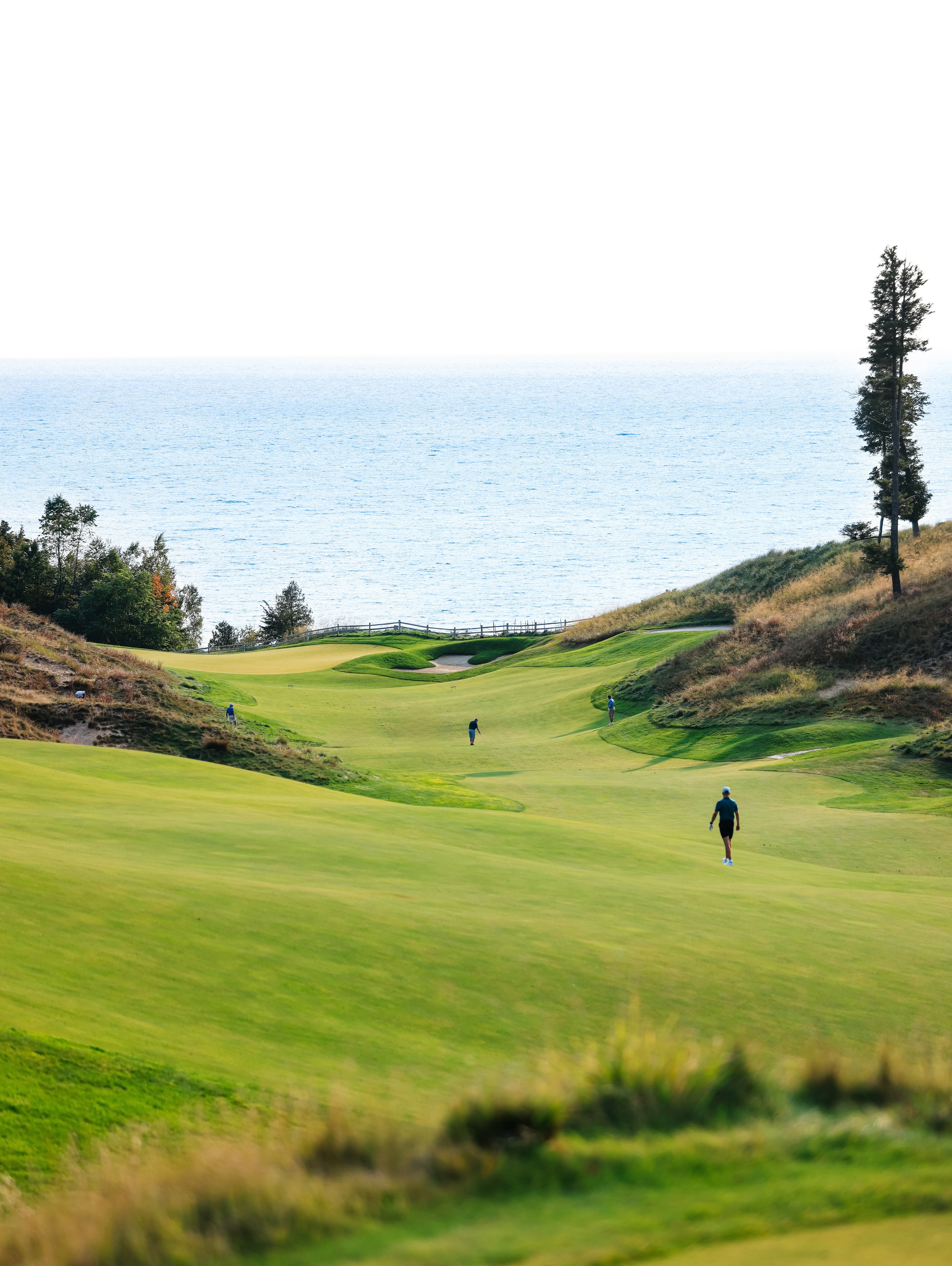 Golfers on a green course with ocean view -Olydoe Golf